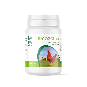 Lincozol 40